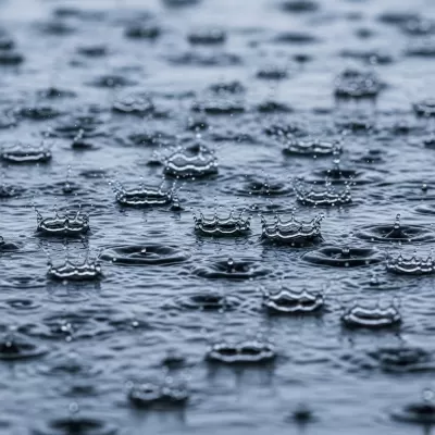 Imagen PNG para descargar